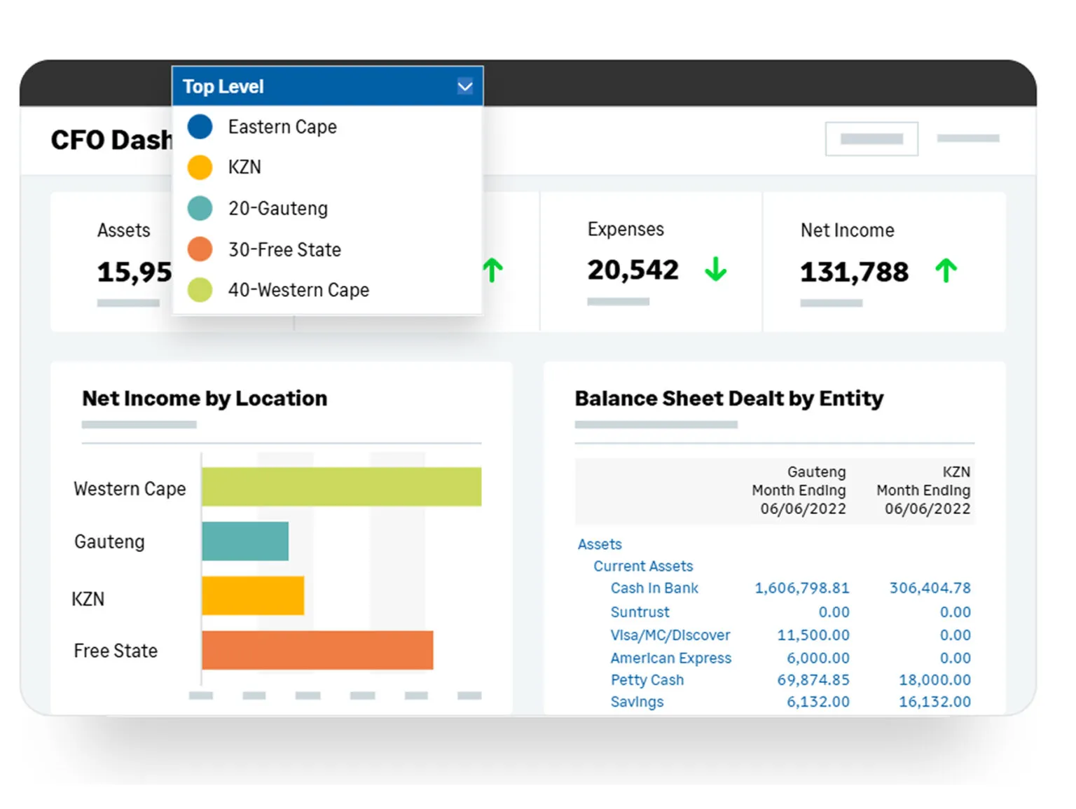 cfo dashboard screen grab