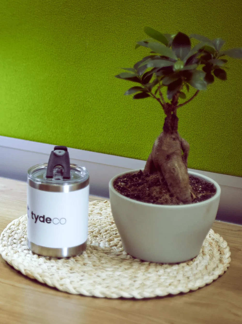plant in a pot plant with a cup with Tydeco logo on it